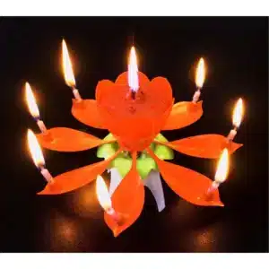 Alternative view of Geburtstagsfontäne